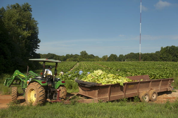 impact local farmers